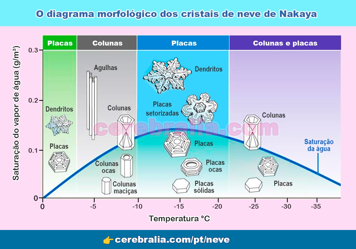 Classificação dos cristais de neve