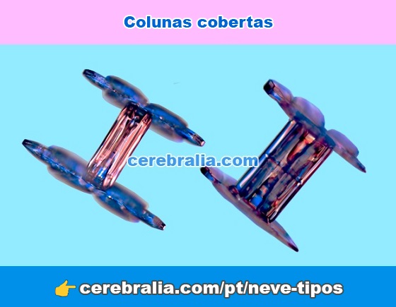 Cristal em forma de coluna coberta