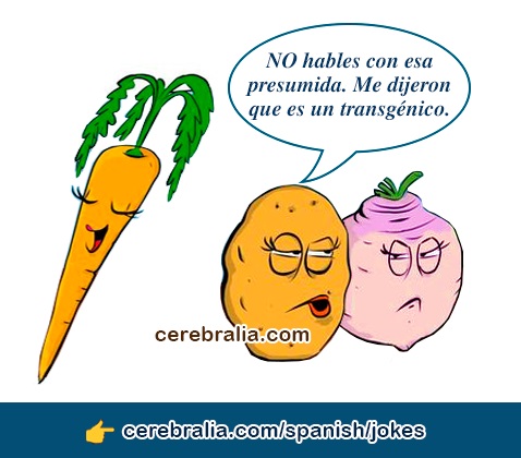 Funny Spanish Jokes