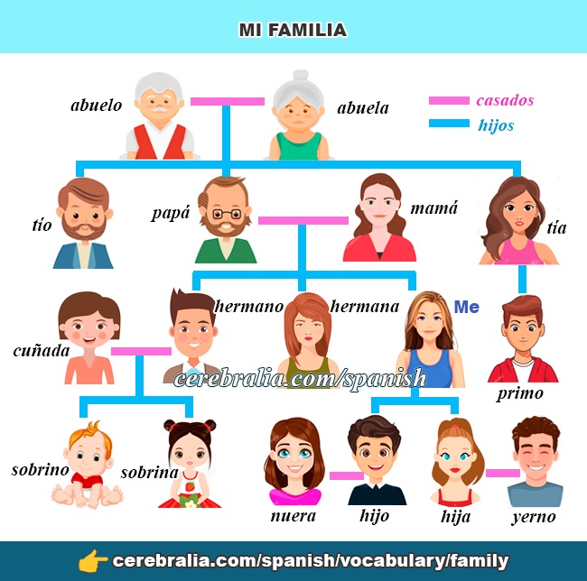  SPANISH VOCABULARY THE FAMILY 