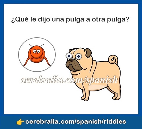 Funny Spanish Riddles