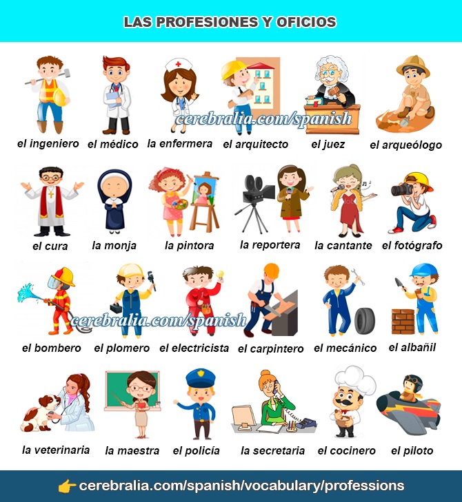  SPANISH VOCABULARY JOBS AND PROFESSIONS 