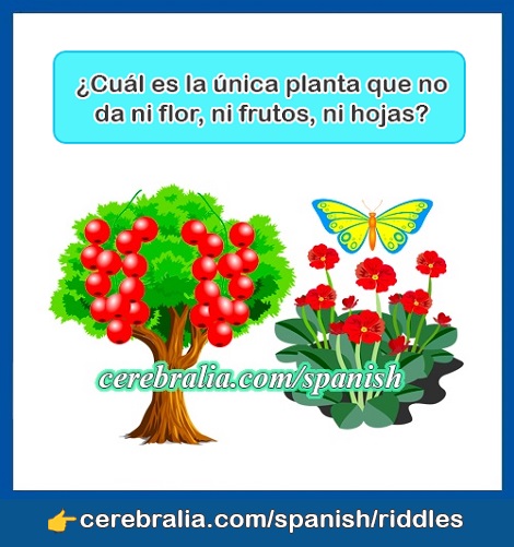 🥇【 THE BEST BRAIN-TEASING SPANISH RIDDLES 】 ️