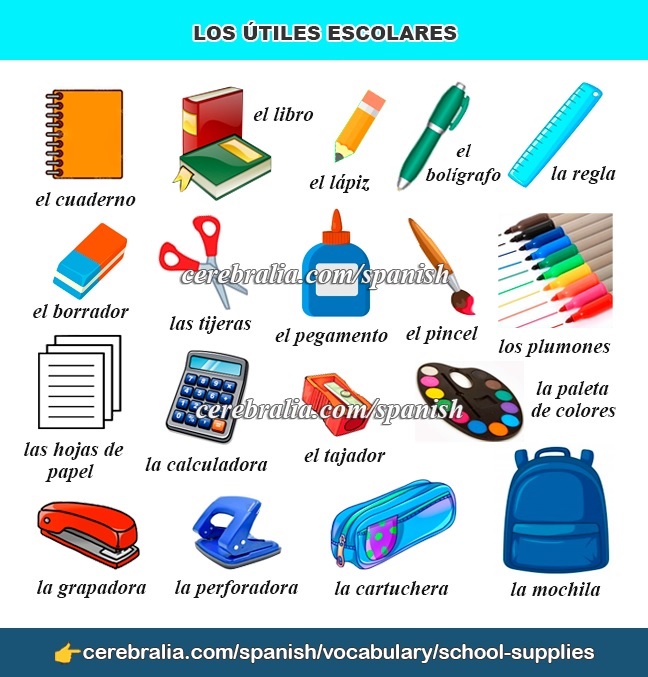  SPANISH VOCABULARY SCHOOL SUPPLIES 