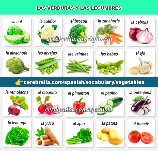  SPANISH VOCABULARY VEGETABLES 
